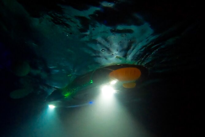 Sunset/Glow Clear Kayak Tour in Olowalu - Who will enjoy this most
