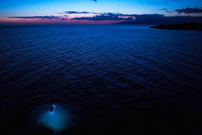 Sunset/Glow Clear Kayak Tour in Olowalu - Practical details before you book