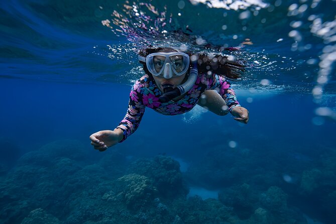 Sunset Glow Snorkel At Turtle Town With Photo & Video - The guides make the small group useful