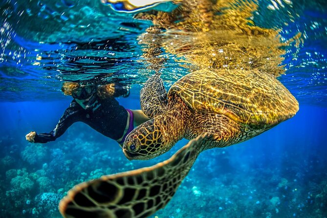 Super Raft - Private Charter Maui 3 Hour Snorkel to Coral Gardens or Molokini - The Super Raft makes the ride part of the trip