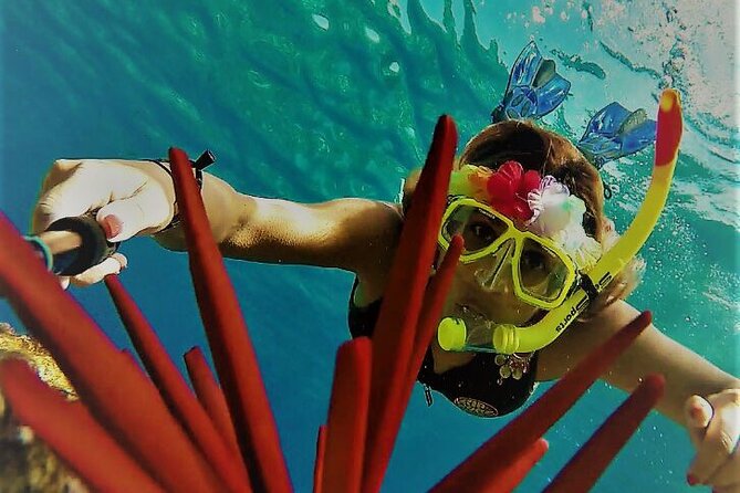 Super Raft - Private Charter Maui 3 Hour Snorkel to Coral Gardens or Molokini - The crew’s personal attention helps new swimmers