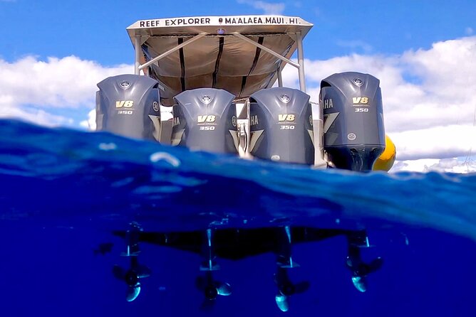 Super Raft - Private Charter Maui 3 Hour Snorkel to Coral Gardens or Molokini - Is $2,866.67 a good value?