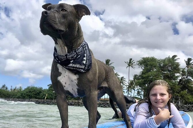 Surf with a Service Animal - Why surfing with Church changes the lesson