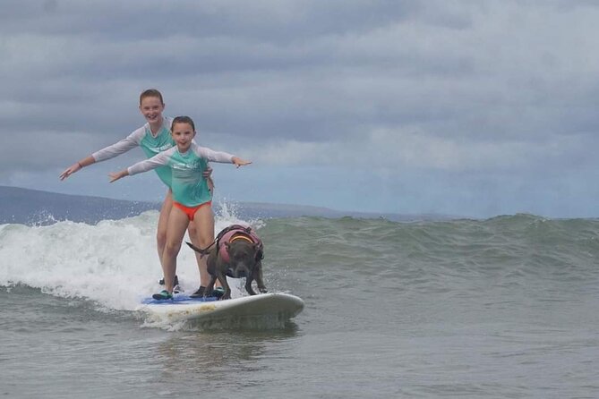 Surf with a Service Animal - A private lesson for beginners and experienced surfers