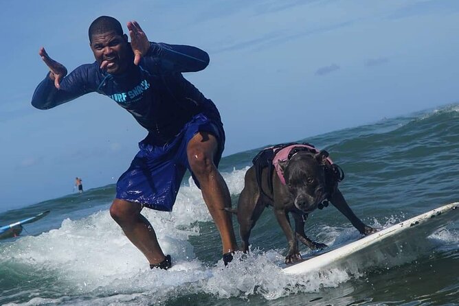 Surf with a Service Animal - Timing, weather, and the no-show concern