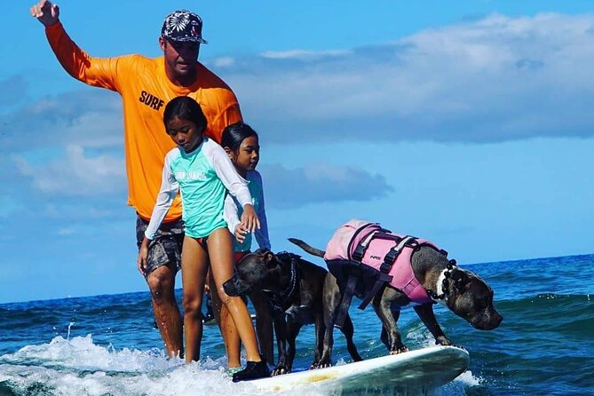 Surf with a Service Animal - Who will enjoy this most