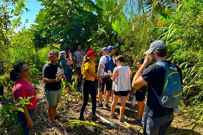 Taste of Hawaii: A Maui Farm Tour - Mountain views and photo opportunities