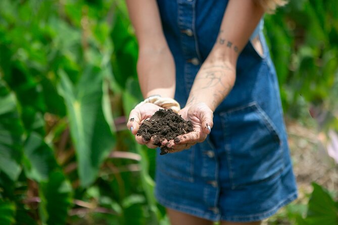 Taste of Hawaii: A Maui Farm Tour - Is $75 a fair price?
