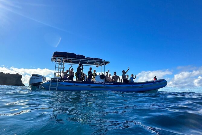 The Best 10 am 1.5 Hour Whale Watching Tour - Who should book this Maui whale tour