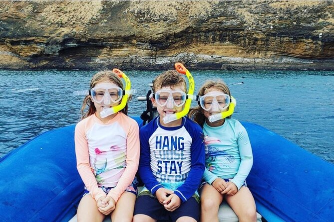 The Best 2.5 Hour Molokini Snorkel Tour & Whale Watch - Why This Molokini Trip Works So Well