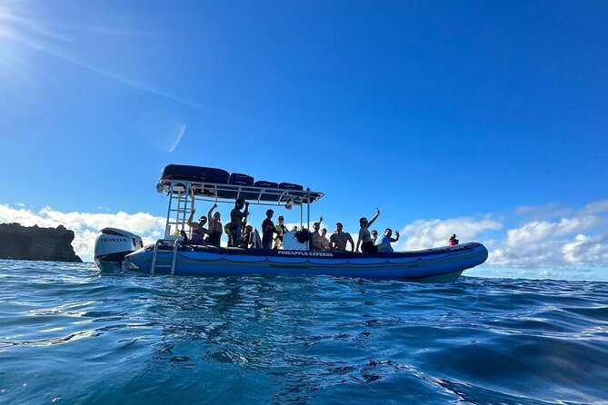 The Best 2.5 Hour Molokini Snorkel Tour & Whale Watch - Is $169.59 a Fair Price?
