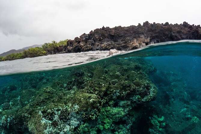 The Best 2.5 Hour Molokini Snorkel Tour & Whale Watch - Who Should Book This Maui Boat Tour?