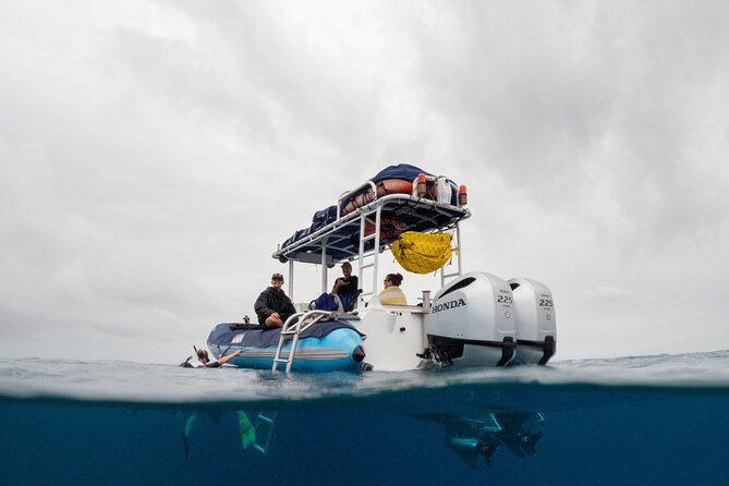 The Best 2 Hour Molokini Express Snorkeling - Why the late-morning slot can work so well