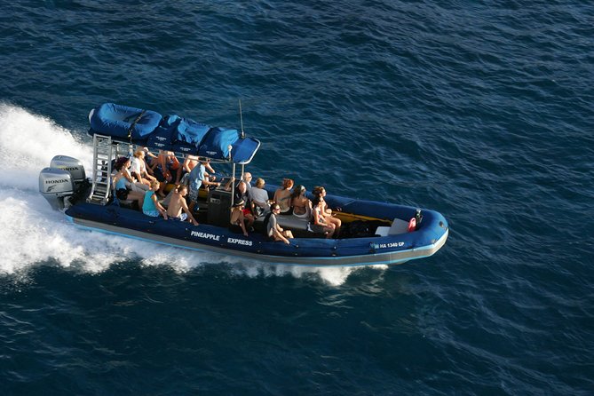 The Best 4 hour inclusive Kanaio Sea Caves and La Perouse Snorkel - A morning departure from Kihei