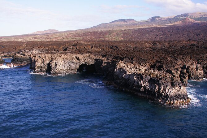 The Best 4 hour inclusive Kanaio Sea Caves and La Perouse Snorkel - A final snorkel near turtles
