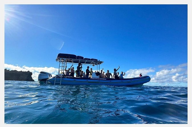 The Best 8 am 1.5 Hour Whale Watching Tour - The hydrophone is the quiet highlight