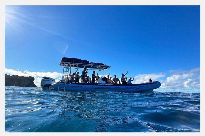 The Best 8 am 1.5 Hour Whale Watching Tour - A simple 90-minute itinerary