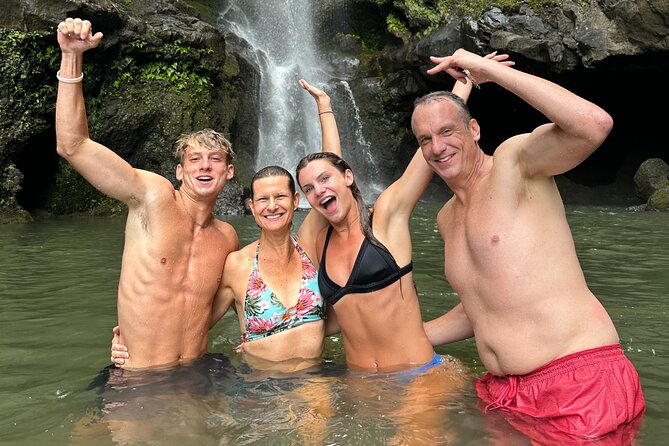 The best half day of your life! Luxury Road to Hana private tour - What the guides add to the day