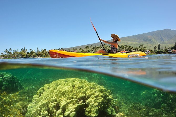Turtle Reef Kayak Tour of Makena, Maui - Is $121 a fair price?