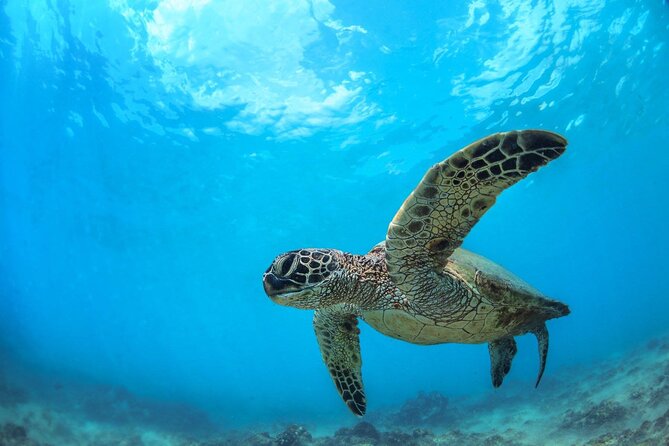 Turtle Reef Kayak Tour of Makena, Maui - Paddling across Makena Bay