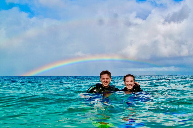 Turtle & Shark Scuba Dive in Lahaina: Certified - Key points to know before booking