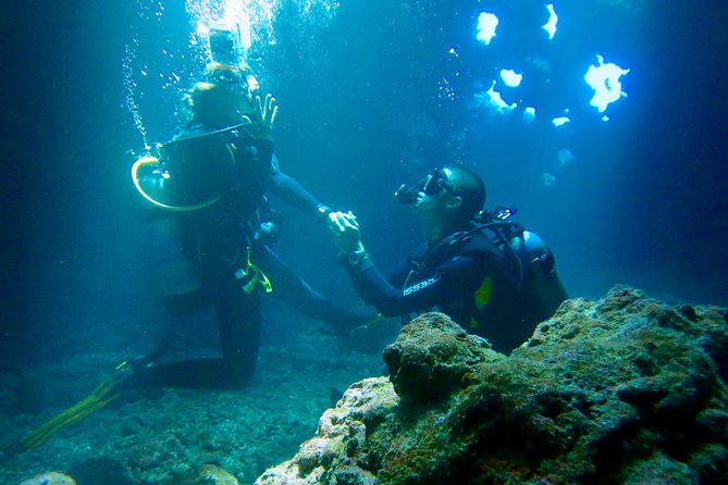 Turtle & Shark Scuba Dive in Lahaina: Certified - What this Lahaina scuba outing is really like