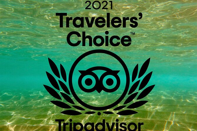 Turtle & Shark Scuba Dive in Lahaina: Certified - Why recent scuba experience matters