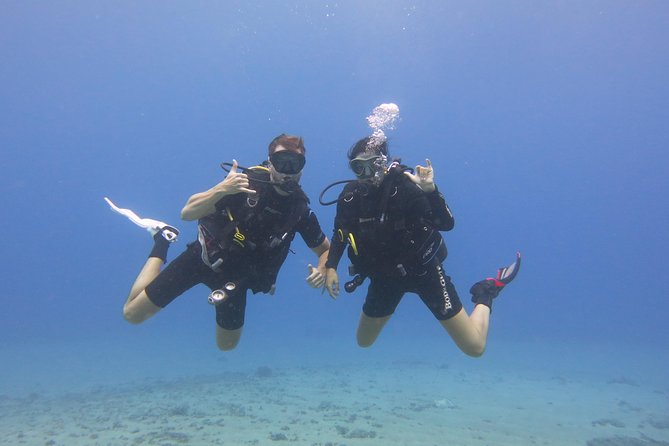 Turtle & Shark Scuba Dive in Lahaina: Certified - Equipment, briefing, and guide attention