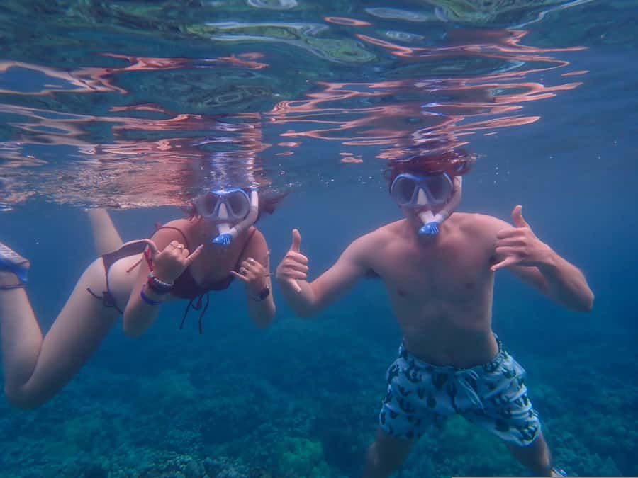 Turtle Town Clear Kayak & Snorkel Tour (8am-11am) - Who should book this Maui kayak tour?