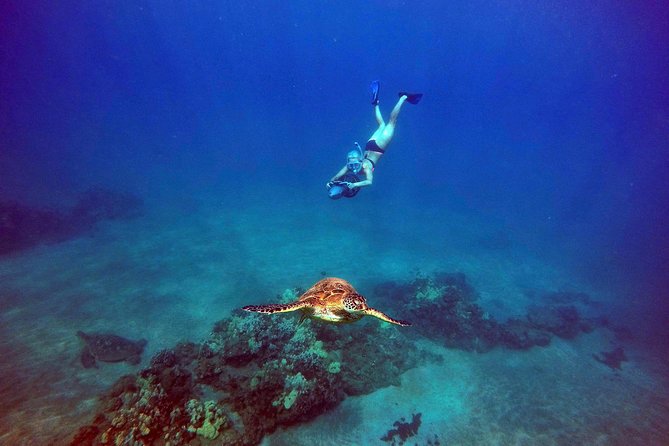 Turtle Town Underwater Scooter Snorkeling Tour with GoPro - Why the scooter changes the snorkeling experience