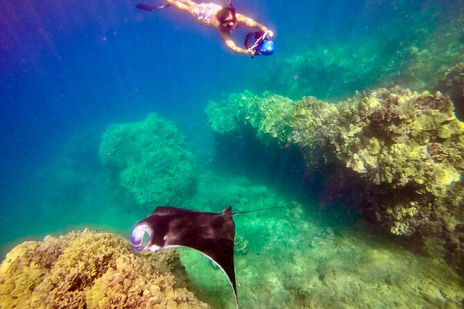 Turtle Town Underwater Scooter Snorkeling Tour with GoPro - What the GoPro adds