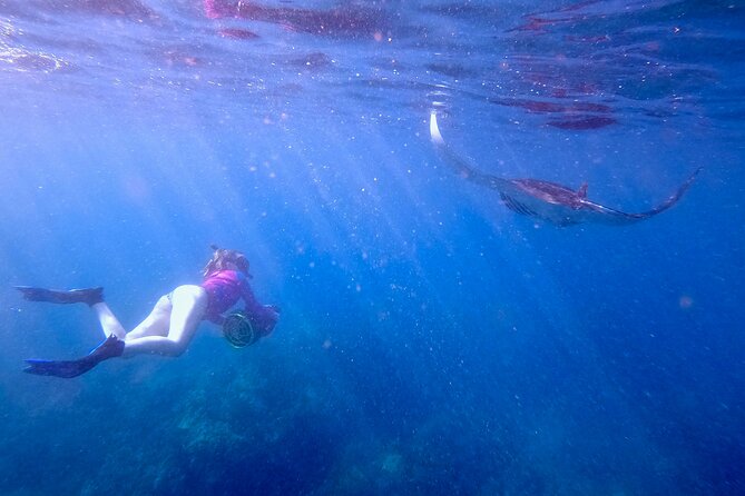 Turtle Town Underwater Scooter Snorkeling Tour with GoPro - Why the four-person limit improves the value