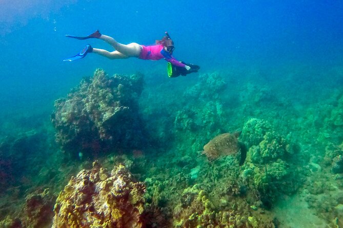 Turtle Town Underwater Scooter Snorkeling Tour with GoPro - Timing, weather, and cancellation details