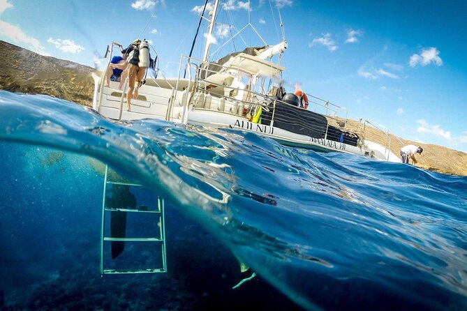 Turtles & Tacos Luxury Catamaran Snorkel - Who will enjoy this Maui sail most