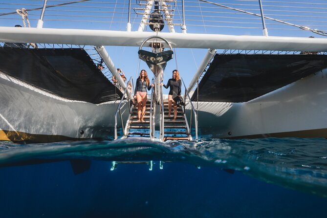 Turtles & Tacos Luxury Catamaran Snorkel - Small details that make the day easier