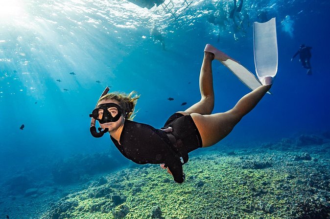 Two Site Snorkeling Adventure featuring the Molokini Crater - Possible South Maui Coast stops