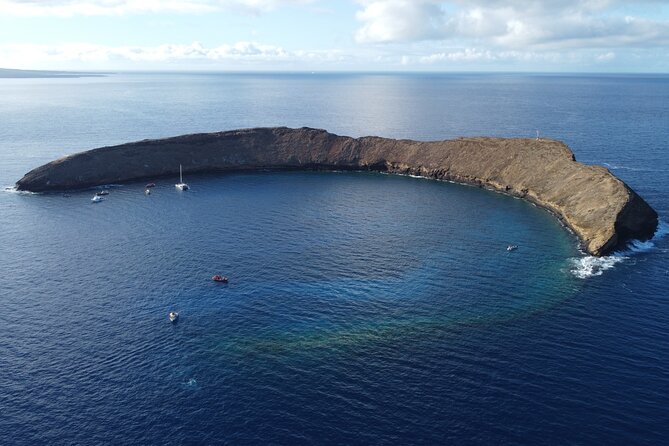 Two Site Snorkeling Adventure featuring the Molokini Crater - A pleasant bonus: possible whale watching