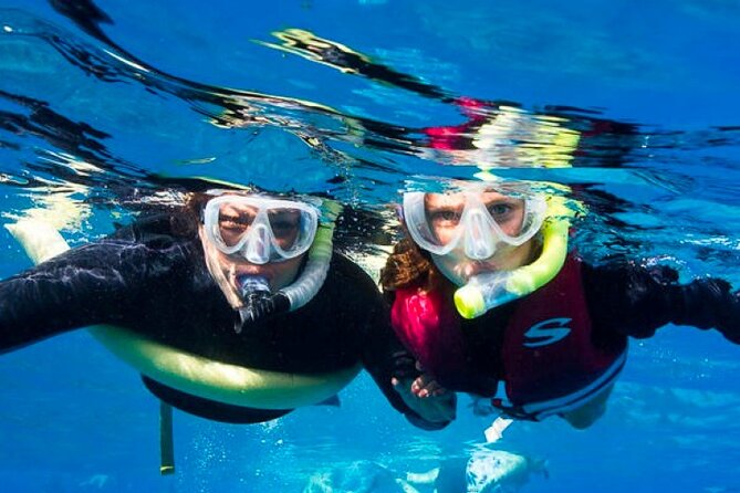 Two Stop Snorkel Adventure from Maui - Key points to know before booking