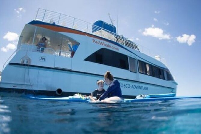 Two Stop Snorkel Adventure from Maui - The crew’s helpful attitude matters in the water