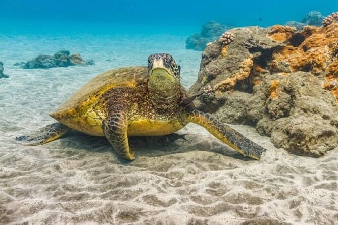 Two Stop Snorkel Adventure from Maui - Is $209.99 a fair price?