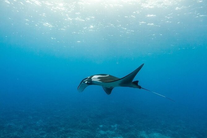 Two Stop Snorkel Adventure from Maui - Breakfast is more useful than it sounds