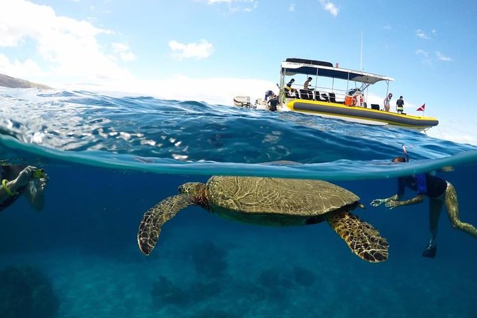 Ultimate 4 Hour Lanai Snorkel and Dolphin Encounter - Why Lanai makes this four-hour trip worthwhile