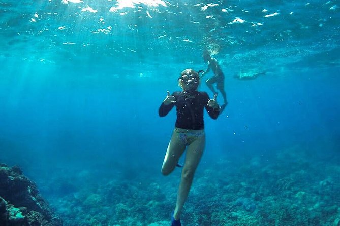 Ultimate 4 Hour Lanai Snorkel and Dolphin Encounter - Safety and comfort in the water