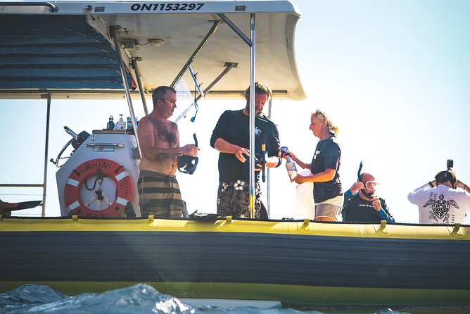 Ultimate 4 Hour Lanai Snorkel and Dolphin Encounter - What food and gear are actually included