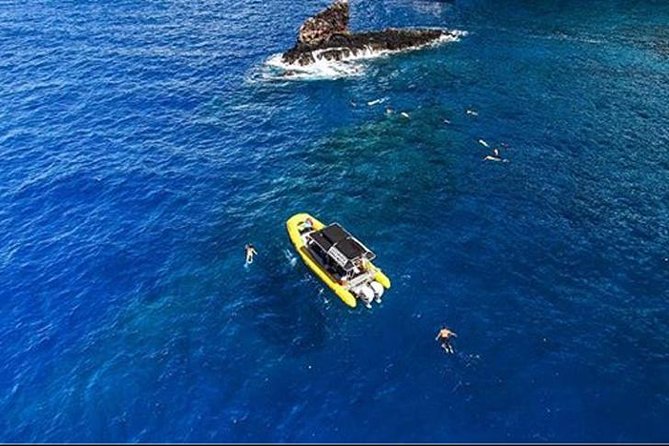 Ultimate 4 Hour Lanai Snorkel and Dolphin Encounter - Is $175 a fair Maui price?