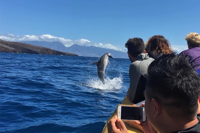 Ultimate 4 Hour Lanai Snorkel and Dolphin Encounter - The second stop brings turtles and sharks