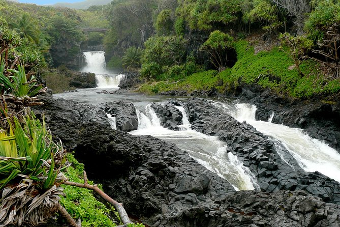 Ultimate Hana Full-Day Adventure Tour - What the small group changes