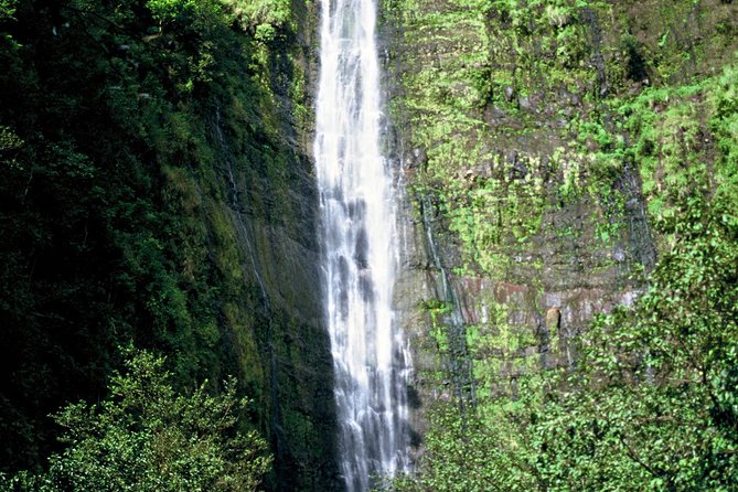 Ultimate Hana Full-Day Adventure Tour - How much value you get for $292.15