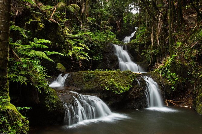 Ultimate Hawaii Road Trip: 4-Island Self-Guided Audio Tours - Road to Hana, Maui’s route with the most moving parts