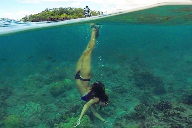Ultimate Maui Kayak Snorkel Experience - Safety comes before the perfect snorkel